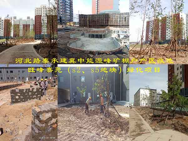 河北路泰承建冀中能源峰礦棚戶產(chǎn)區(qū)改造旺峰嘉苑（s2、s5地塊）綠化項目有序施工中